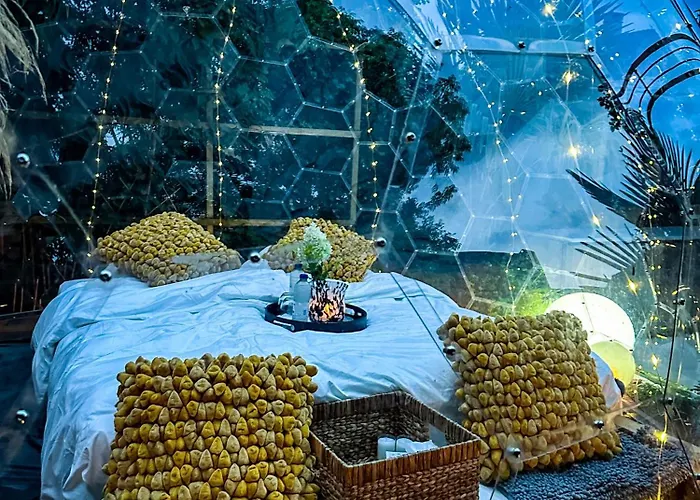 Beme * ウォータールー